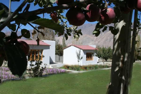 Himalayan Eco Resort Hundar Екстер'єр фото