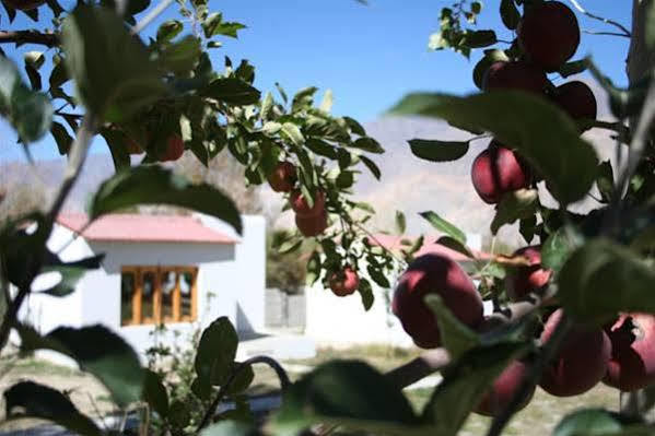 Himalayan Eco Resort Hundar Екстер'єр фото